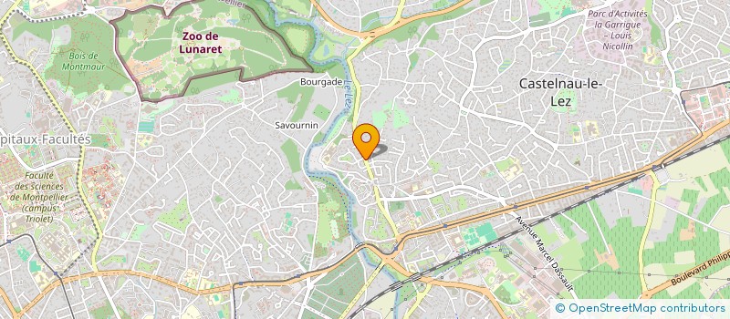 localisation de l'entreprise REGI  CASTELNAU-LE-LEZ