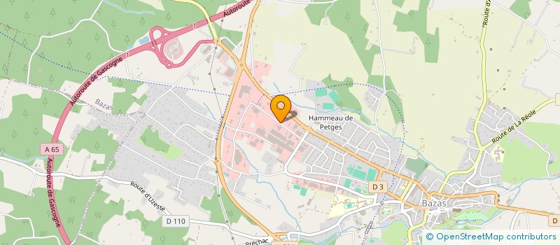localisation de l'entreprise REGIE DU GAZ DE BAZAS à BAZAS