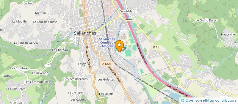 localisation de l'entreprise REGIE GAZ ELECTRICITE DE SALLANCHES à SALLANCHES