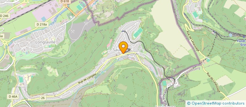 localisation de l'entreprise REGIE INTERCOM.VIDEOCOMMUNICAT.PAYS HAUT  SAULNES