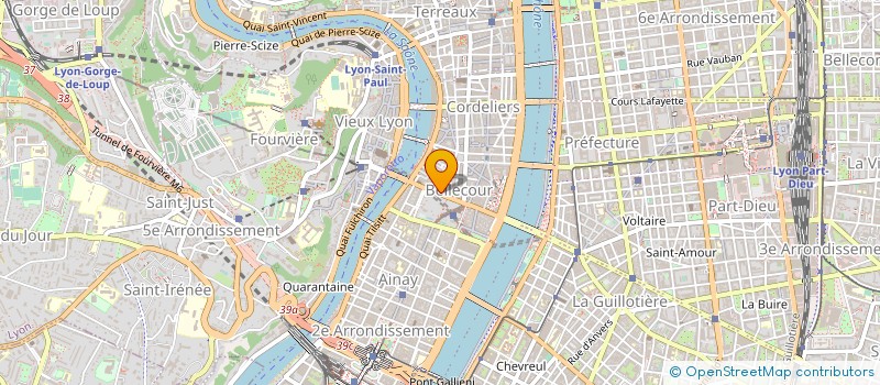 localisation de l'entreprise REGIE THIEBAUD SAS à LYON