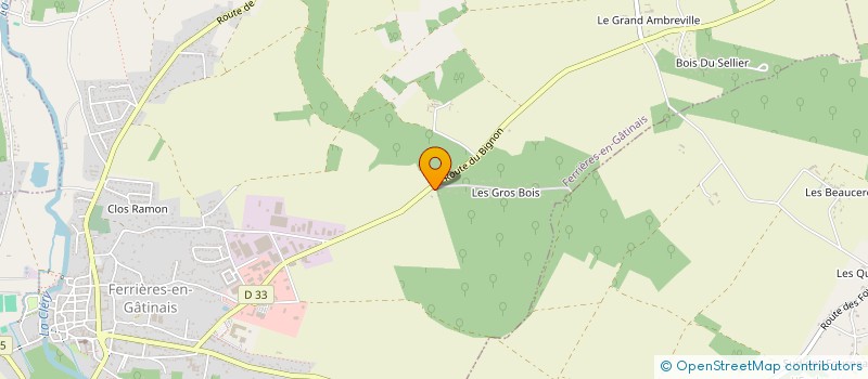 localisation de l'entreprise REGIS DISTRIBUTION à FERRIERES-EN-GATINAIS