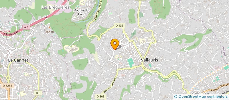 localisation de l'entreprise REGIS GROUP  VALLAURIS