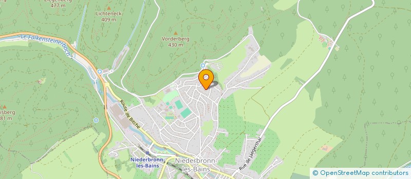 localisation de l'entreprise REICHSHOFFEN  BADMINTON  CLUB  NIEDERBRONN-LES-BAINS