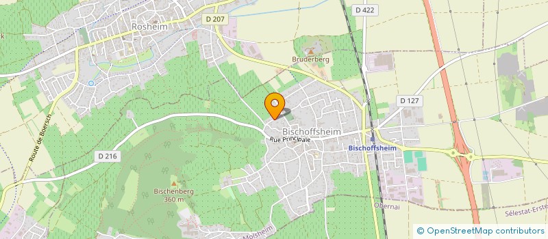 localisation de l'entreprise REIFICATION  BISCHOFFSHEIM