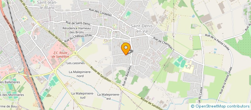 localisation de l'entreprise REJEANAUDE  SAINT-DENIS-EN-VAL