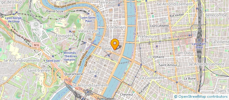 localisation de l'entreprise RELAIS AMICAL DE LYON à LYON