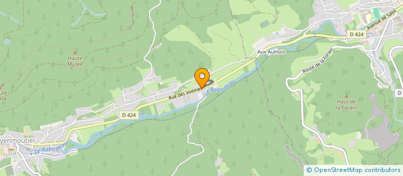 localisation de l'entreprise RELAIS DE LA FORET  MOYENMOUTIER