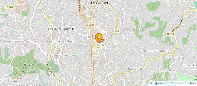 localisation de l'entreprise RELAIS DE TURIN VPC  LE CANNET