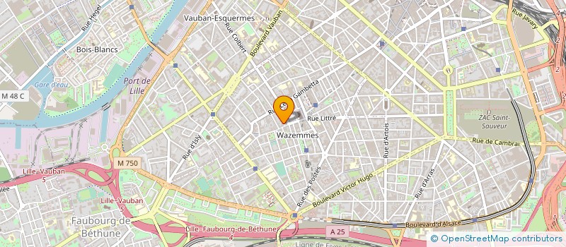 localisation de l'entreprise RELIEFS RECORDS à LILLE