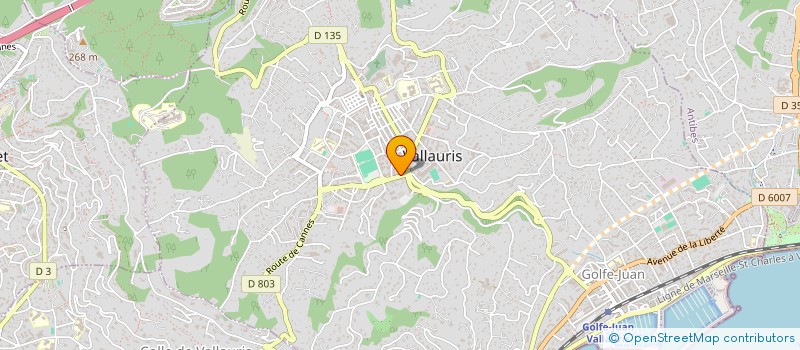 localisation de l'entreprise RELT  VALLAURIS