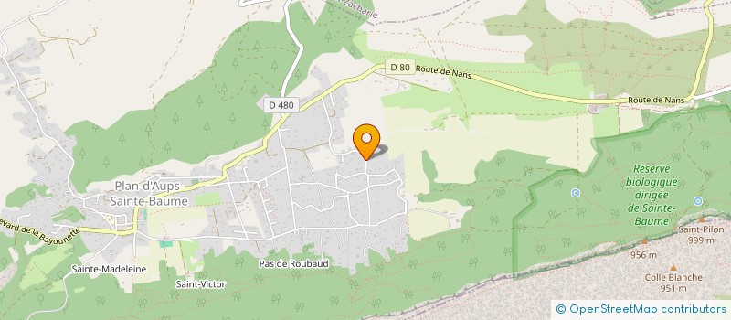localisation de l'entreprise REMI à PLAN-D'AUPS-SAINTE-BAUME