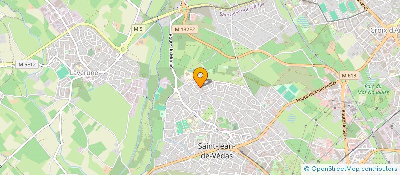 localisation de l'entreprise REMI  SAINT-JEAN-DE-VEDAS