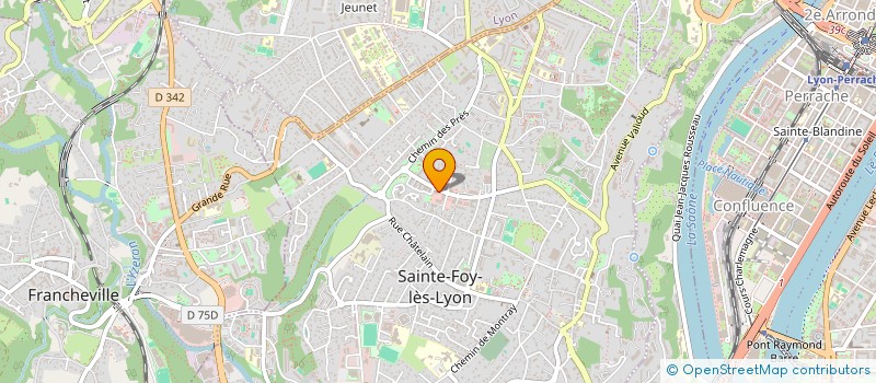 localisation de l'entreprise REMI OLLIER à SAINTE-FOY-LES-LYON
