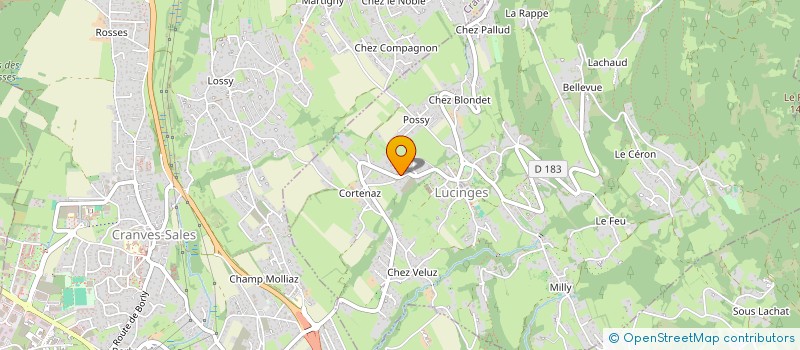 localisation de l'entreprise REMIFILS TP à LUCINGES