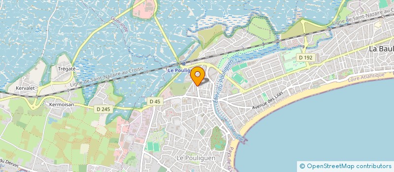 localisation de l'entreprise REMIMMO  LE POULIGUEN