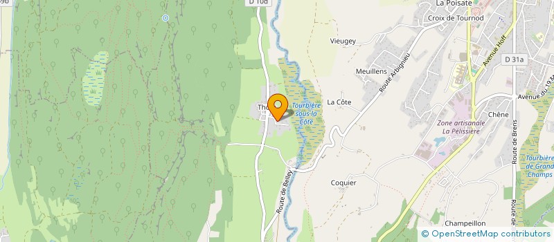 localisation de l'entreprise REMINESCENCE  ARBOYS EN BUGEY