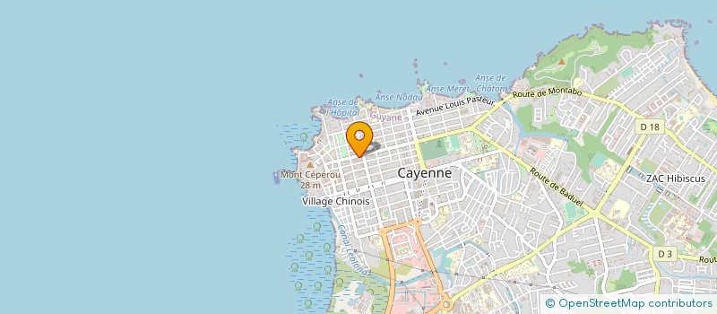 localisation de l'entreprise REMOPTIC à CAYENNE
