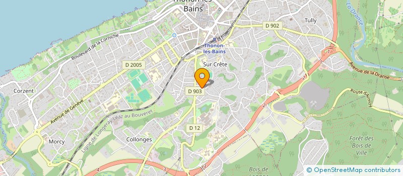 localisation de l'entreprise REMS ANIMATION à THONON-LES-BAINS