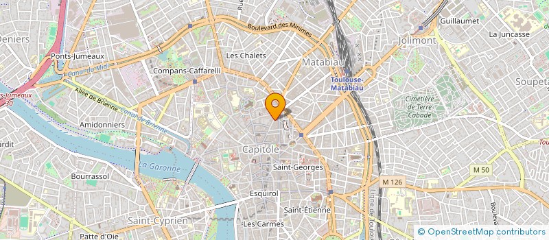 localisation de l'entreprise REMUSAT 50 à TOULOUSE