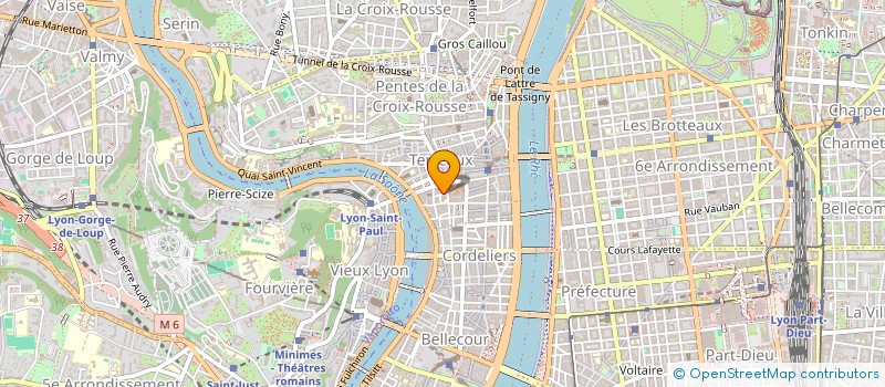 localisation de l'entreprise REMY CHARRETTE à LYON