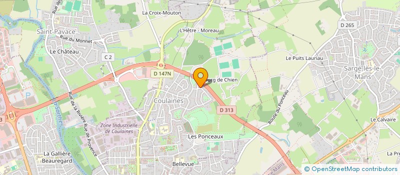 localisation de l'entreprise RENAISSANCE INVEST  COULAINES