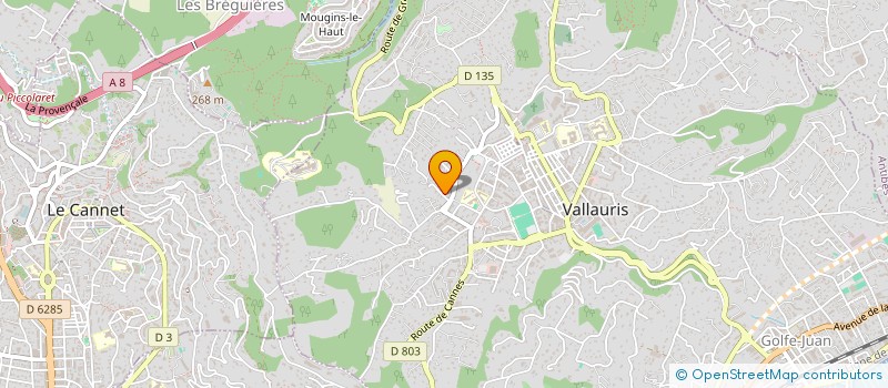 localisation de l'entreprise RENEMOND à VALLAURIS