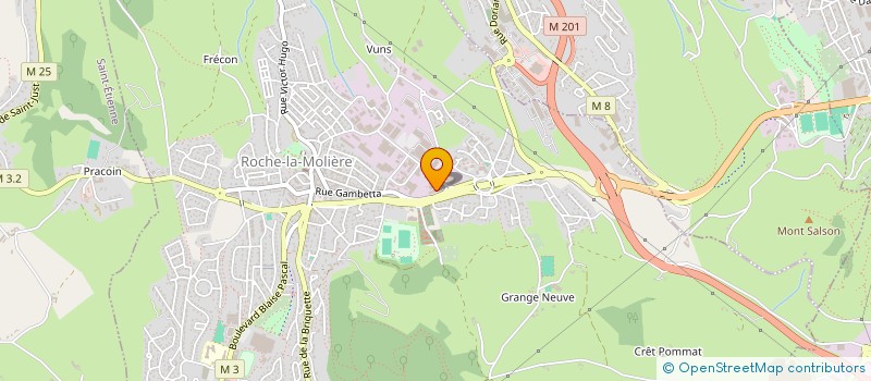 localisation de l'entreprise RENN HLDG  ROCHE-LA-MOLIERE