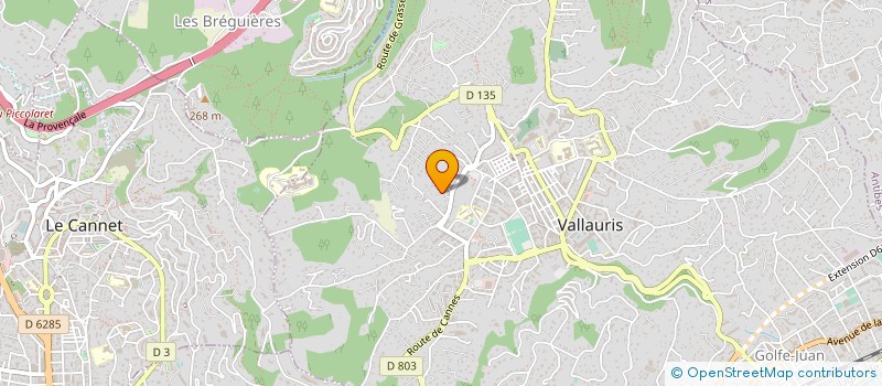localisation de l'entreprise RENNE DESIGN à VALLAURIS