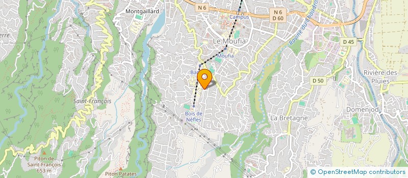 localisation de l'entreprise RENOUVEAU OCEAN INDIEN  SAINT-DENIS