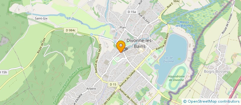 localisation de l'entreprise RENOV ARTISANAL  DIVONNE-LES-BAINS