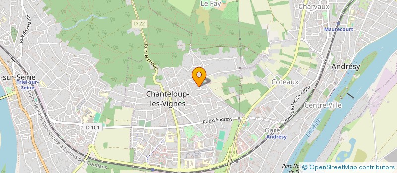 localisation de l'entreprise RENOV IMMO IDF  CHANTELOUP-LES-VIGNES