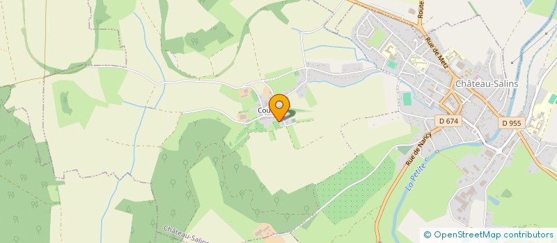 localisation de l'entreprise RENOVATION DU SAULNOIS  CHATEAU-SALINS