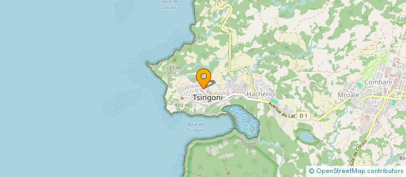localisation de l'entreprise RENOVATION MAYOTTE GROS OEUVRE à TSINGONI