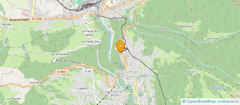 localisation de l'entreprise RENTAL PROPERTIES IN FRANCE  SAINT-GERVAIS-LES-BAINS