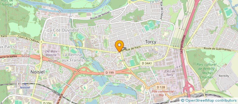 localisation de l'entreprise REPRO MARNE SERVICE INGENIERIE à TORCY
