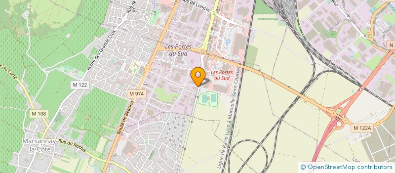 localisation de l'entreprise REPRO SERVICE  MARSANNAY-LA-COTE