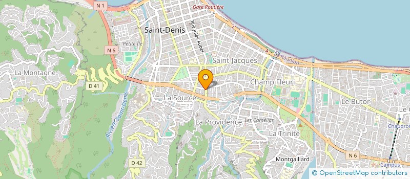 localisation de l'entreprise REPRO SERVICE à SAINT-DENIS