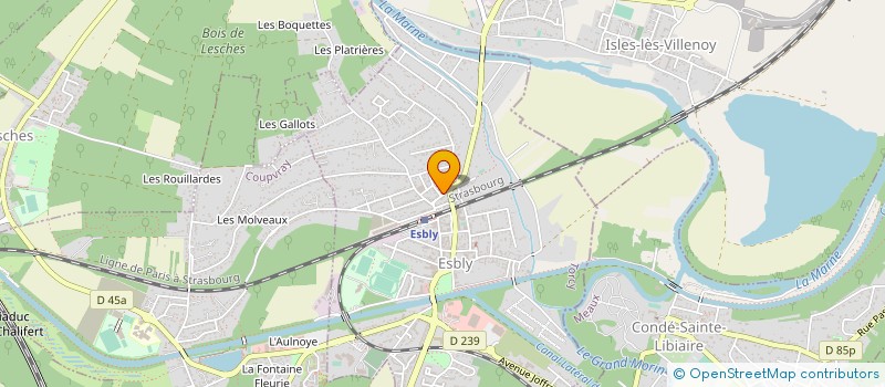 localisation de l'entreprise REPROLOGIE IDF à ESBLY