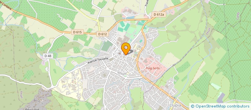 localisation de l'entreprise REPUBLIC IMMO THUIR  THUIR