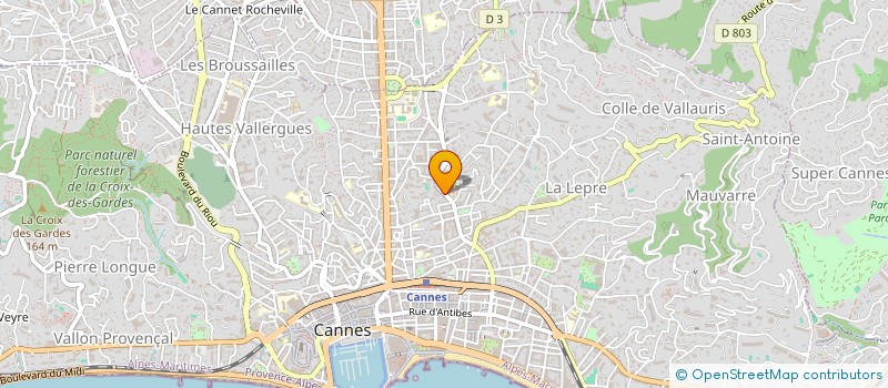 localisation de l'entreprise REPUBLIQUE DES ARTS à CANNES