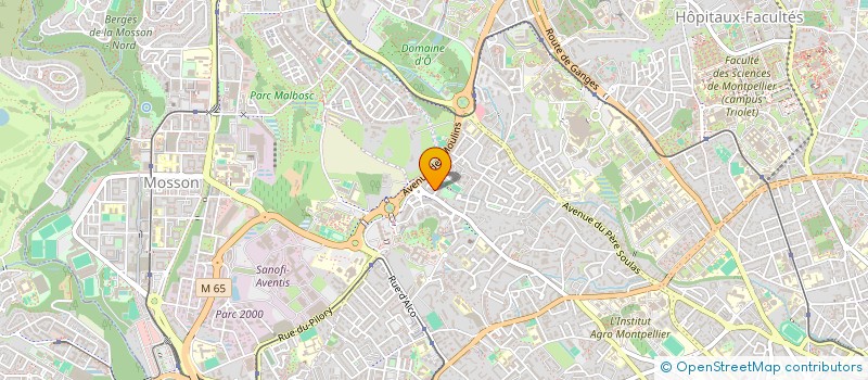 localisation de l'entreprise REQUINS DE FEU DE MONTPELLIER à MONTPELLIER