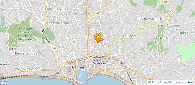 localisation de l'entreprise RES AD ALTA  CANNES