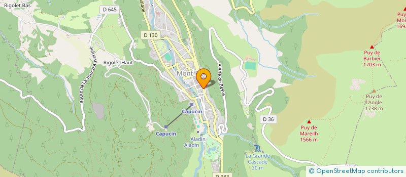 localisation de l'entreprise RES.LES PERCE NEIGE  MONT-DORE