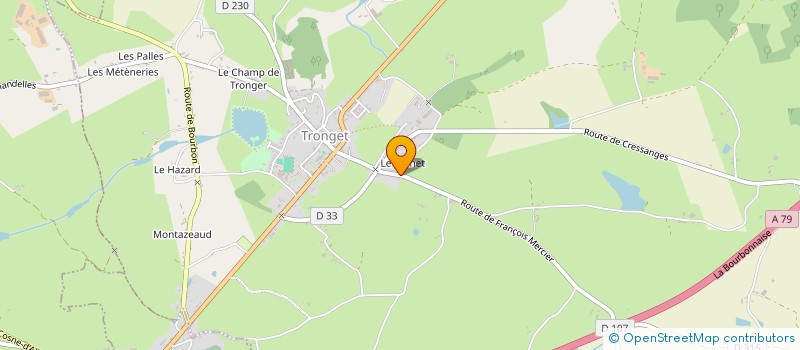 localisation de l'entreprise RESEAU ADDICTOLOGIE ALLIER  TRONGET