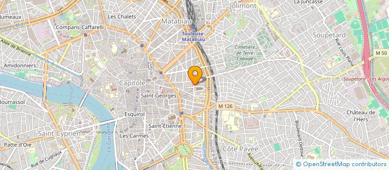 localisation de l'entreprise RESEAU ASSOCIATIF DE PROJETS ARTISTIQUES TOULOUSAIN  TOULOUSE