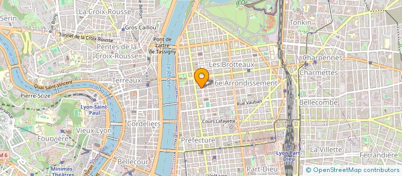 localisation de l'entreprise RESEAU BIENVEILLANCE AU TRAVAIL SERVICES à LYON