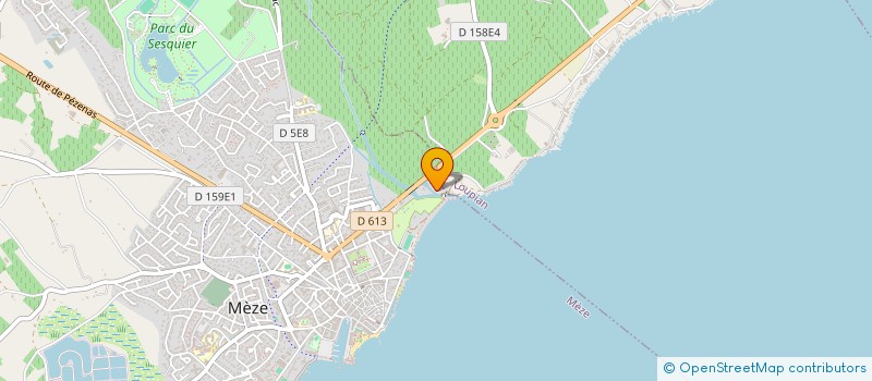 localisation de l'entreprise RESEAU DUNAMIS à MEZE