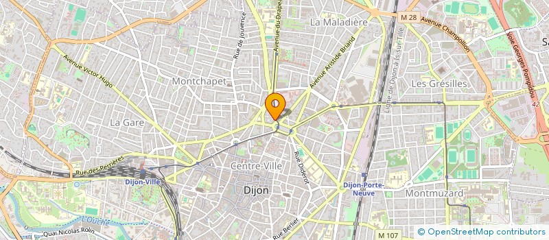 localisation de l'entreprise RESEAU FRANCOPHONE DES VILLES AMIES DES AINES  DIJON