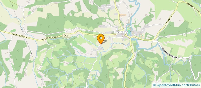 localisation de l'entreprise RESEAU INFRASTRUCTURE COMMUNICATION 64  LASSEUBE